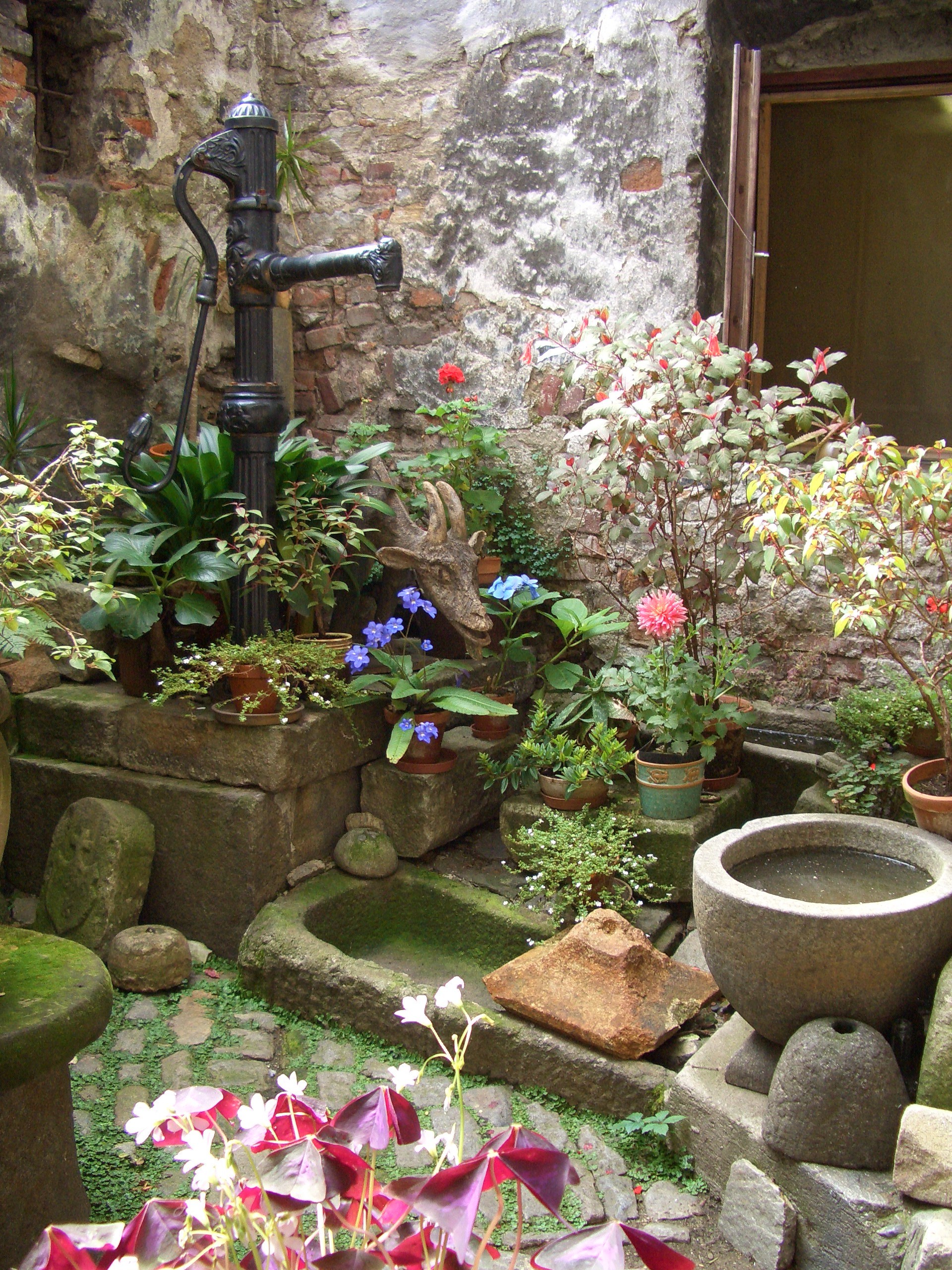 Idyllische Innenhofecke mit altem Pumpbrunnen umgeben von verschiedenen farbigen Topfpflanzen